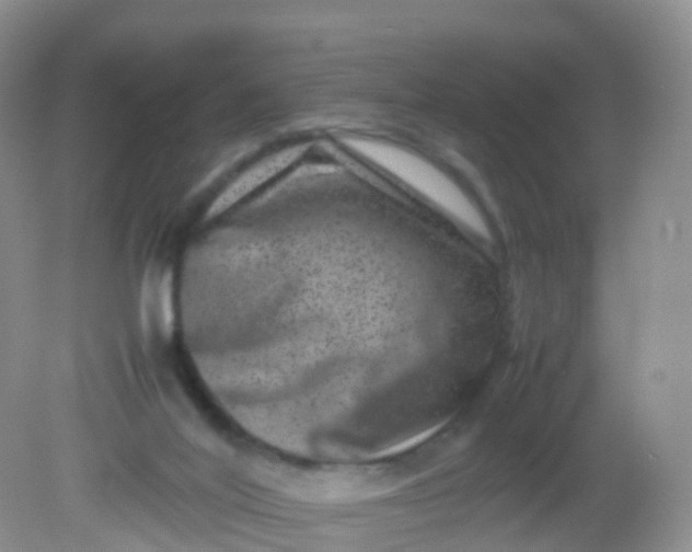 X0000081410020200701261835