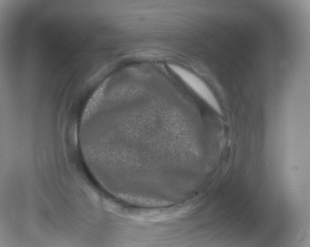 X0000081410021200701261835