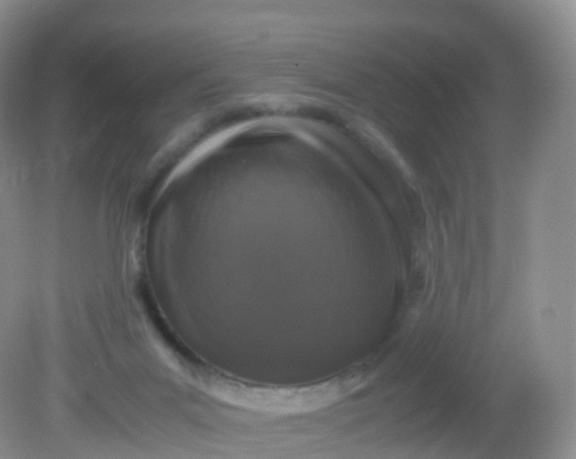 X0000081410023200701261835