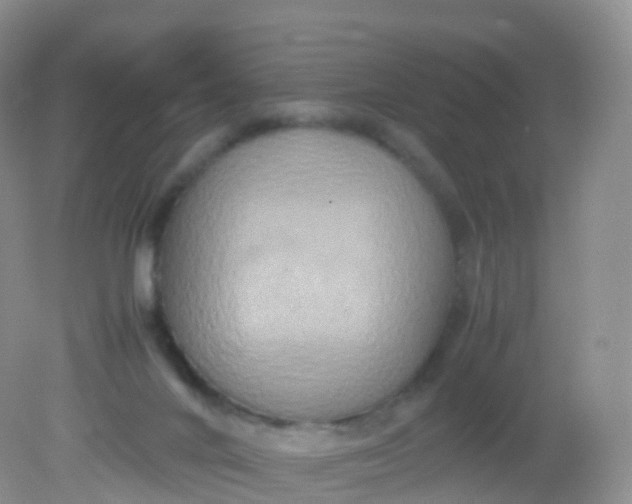 X0000081410024200701261835