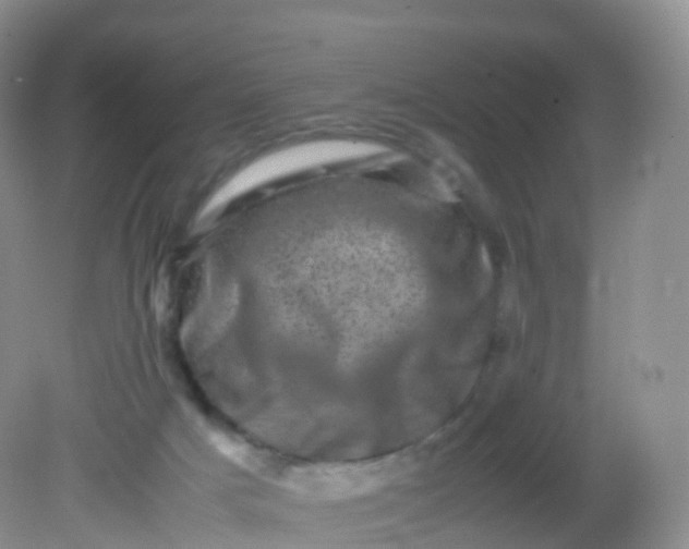 X0000081410025200701261835