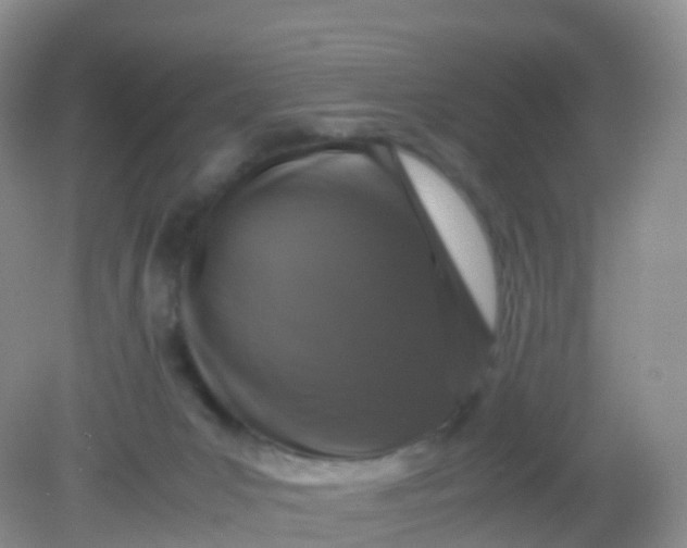 X0000081410031200701261835
