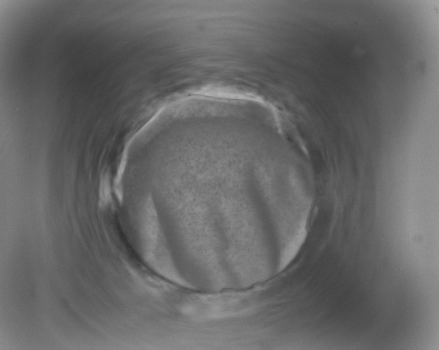X0000081410033200701261835