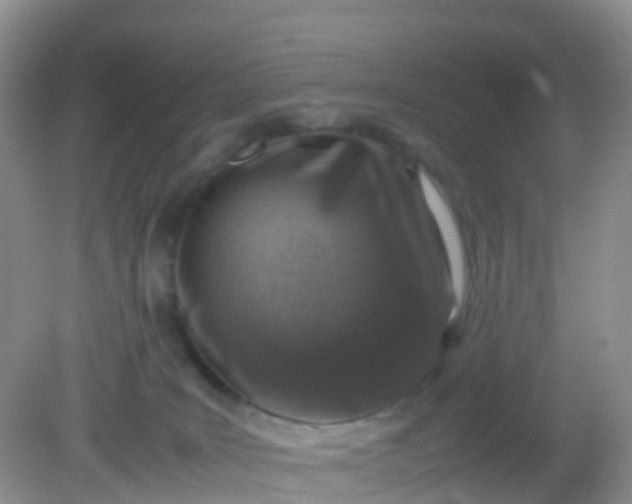 X0000081410035200701261835