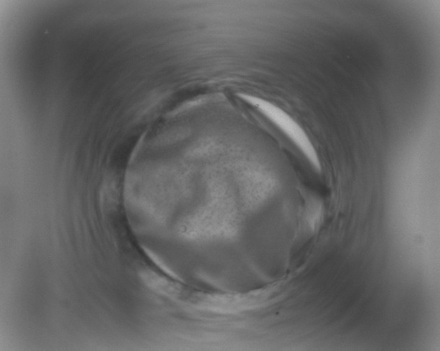 X0000081410037200701261835
