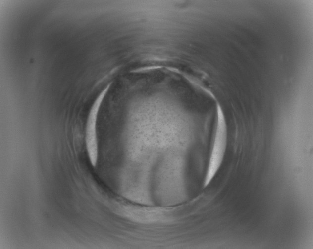 X0000081410040200701261835