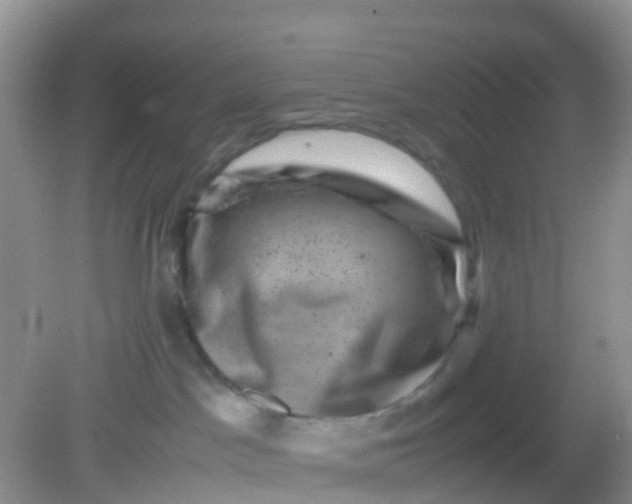 X0000081410045200701261835