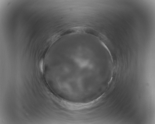 X0000081410047200701261835