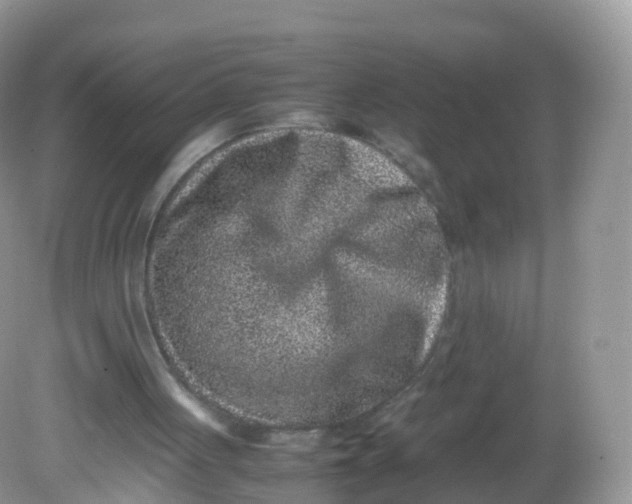 X0000081410051200701261834