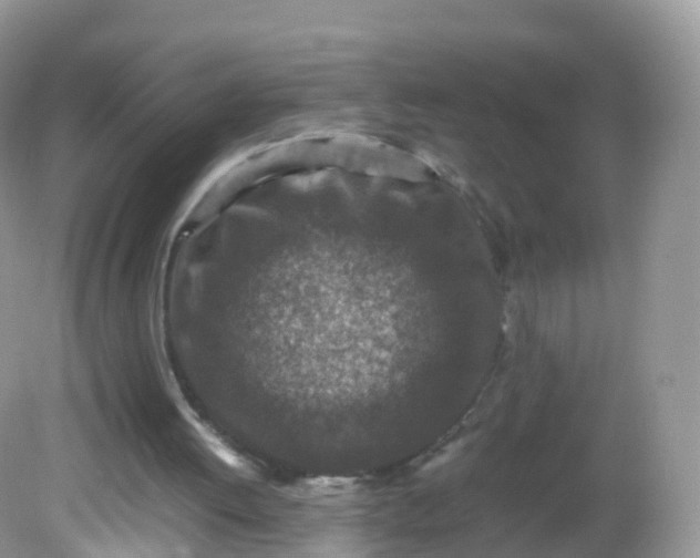 X0000081410052200701261834