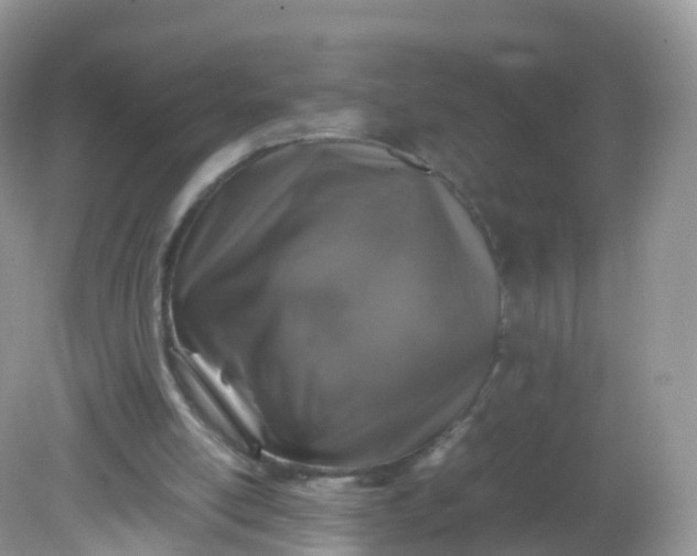 X0000081410054200701261834