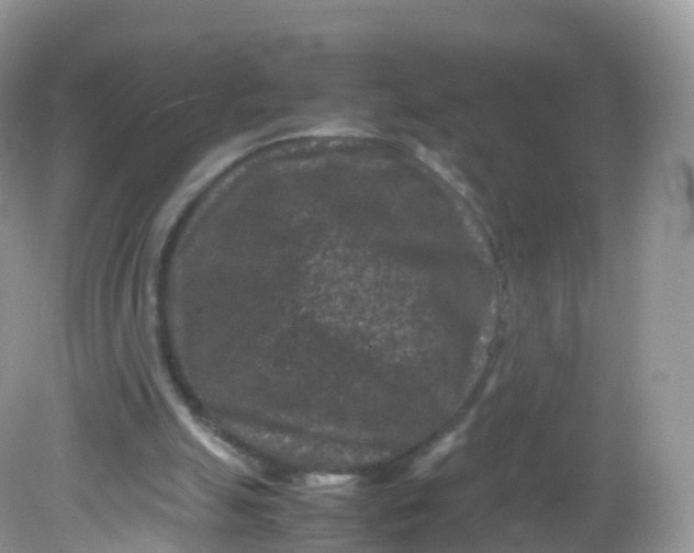 X0000081410055200701261834