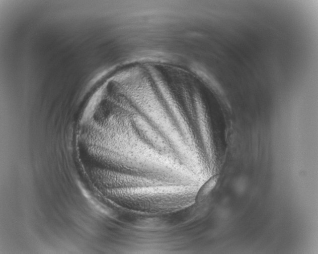 X0000081410058200701261834