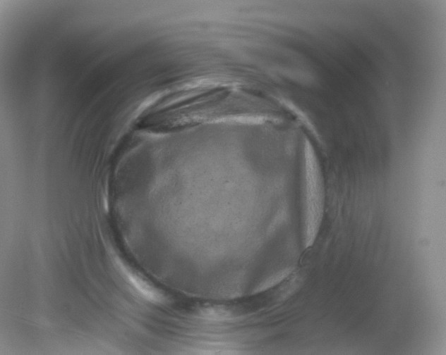 X0000081410062200701261834