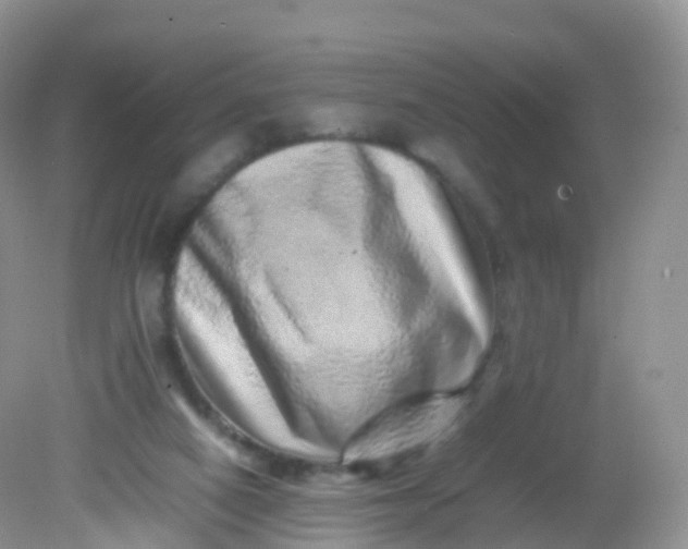 X0000081410066200701261834