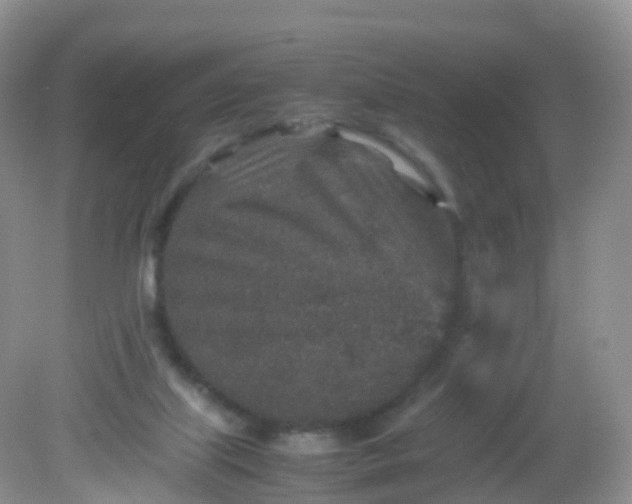 X0000081410067200701261834