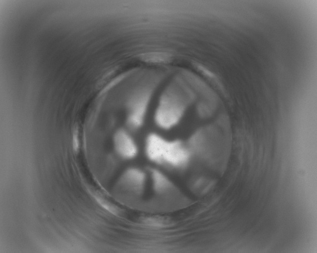 X0000081410069200701261834