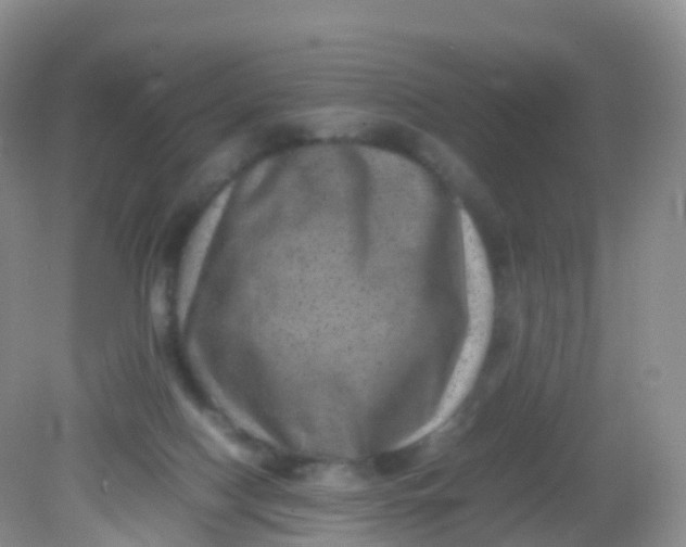 X0000081410074200701261834