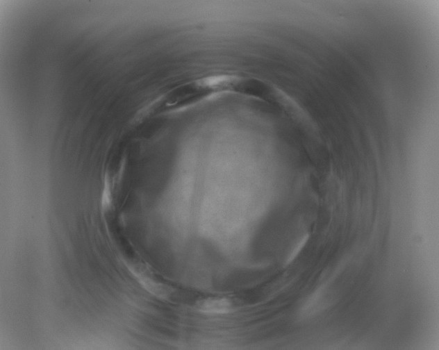 X0000081410075200701261834