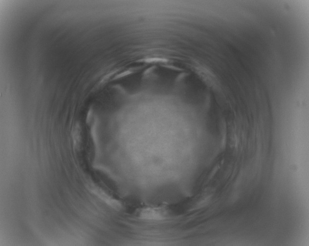 X0000081410077200701261835