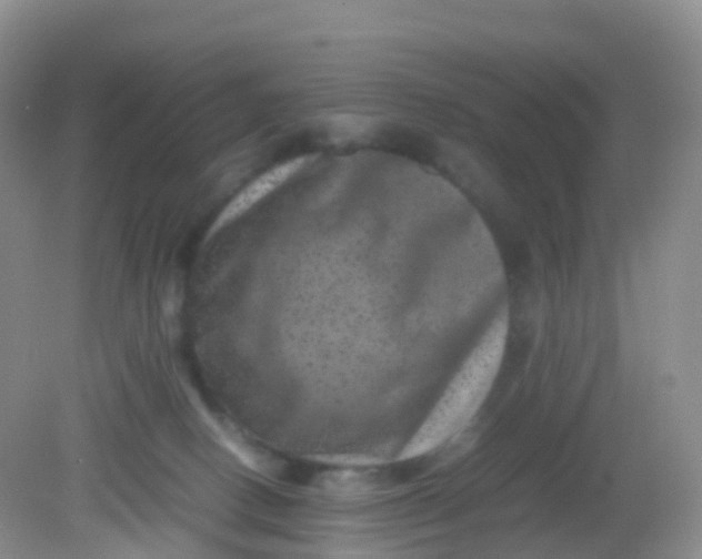 X0000081410082200701261835