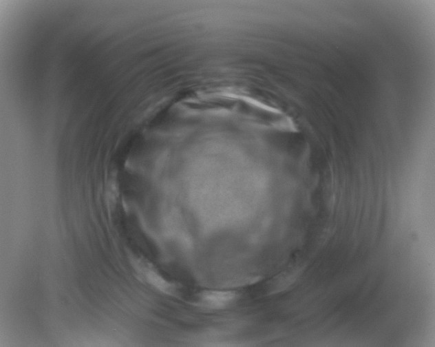 X0000081410085200701261835