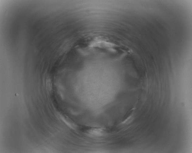 X0000081410086200701261835