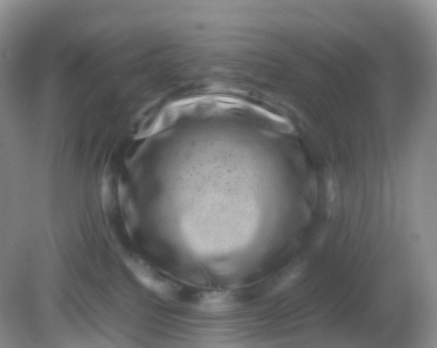 X0000081410088200701261835