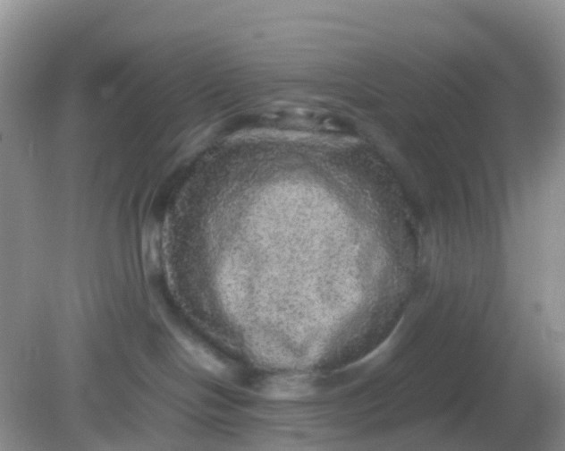 X0000081410094200701261835