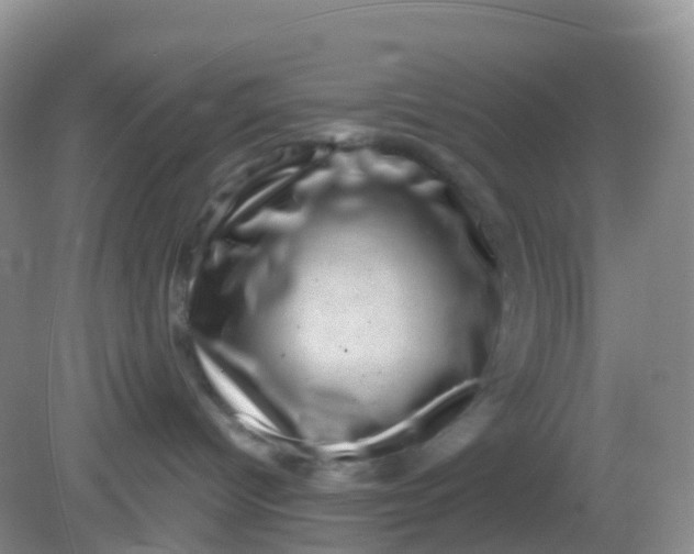 X0000081410096200701261835