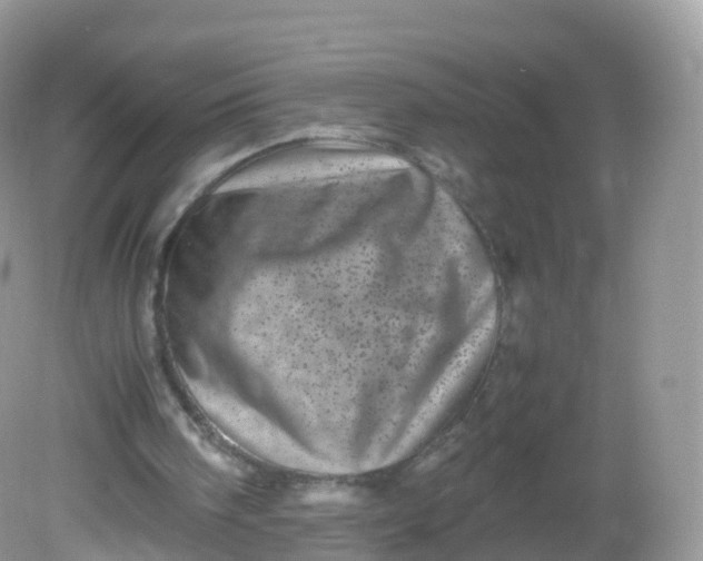 X0000081410098200701261834