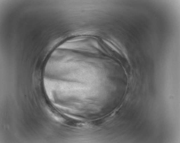 X0000081410107200701261834