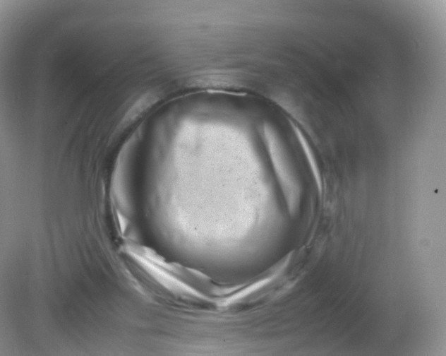 X0000081410109200701261834