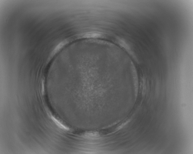 X0000081410110200701261834