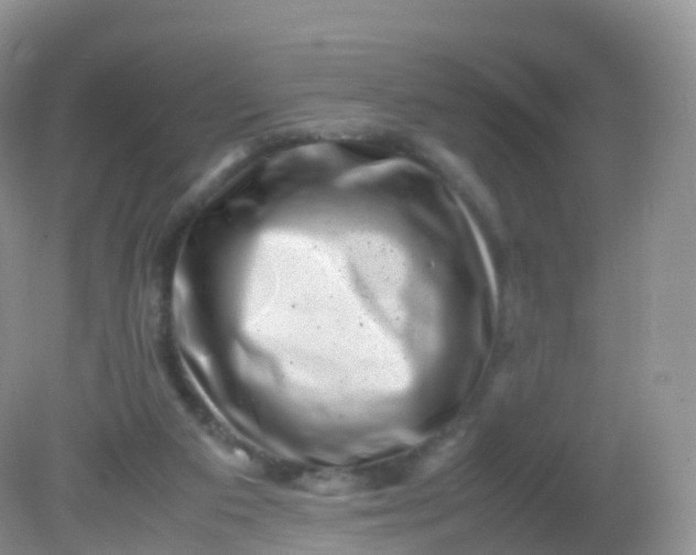 X0000081410113200701261834