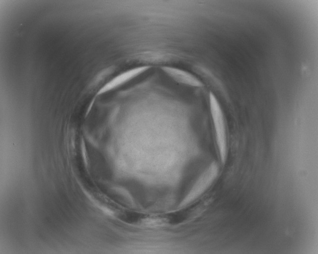 X0000081410115200701261834