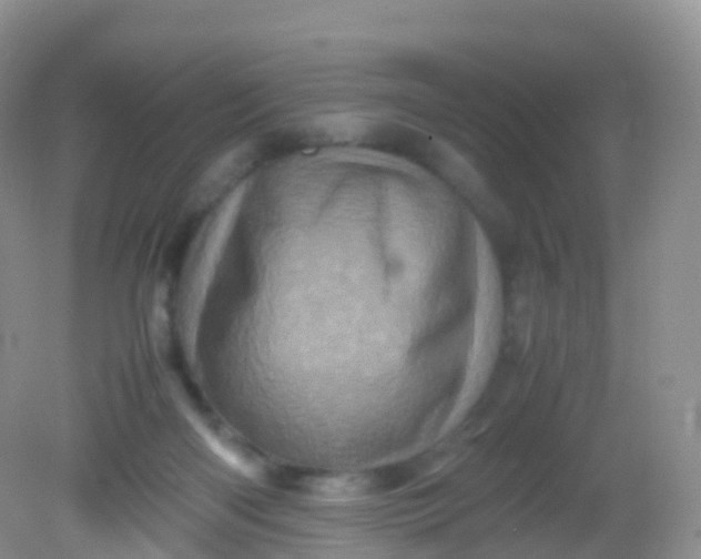 X0000081410122200701261834