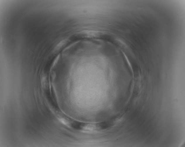 X0000081410123200701261834