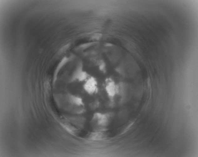 X0000081410127200701261834