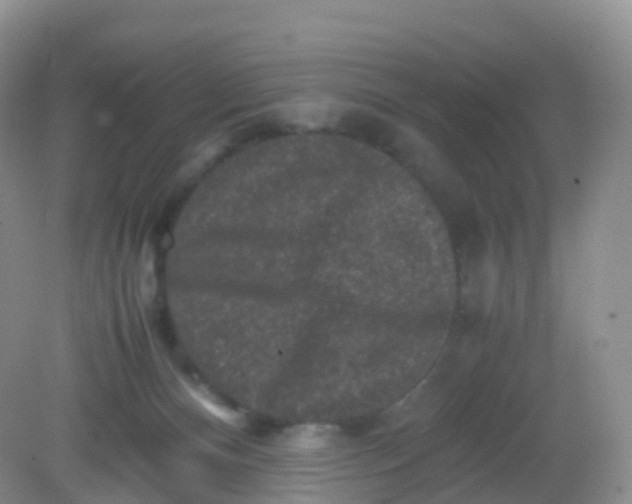X0000081410128200701261834