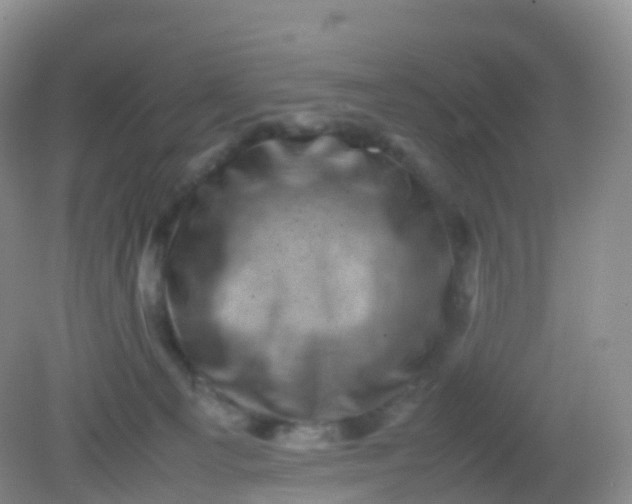 X0000081410129200701261834