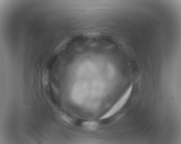 X0000081410133200701261833