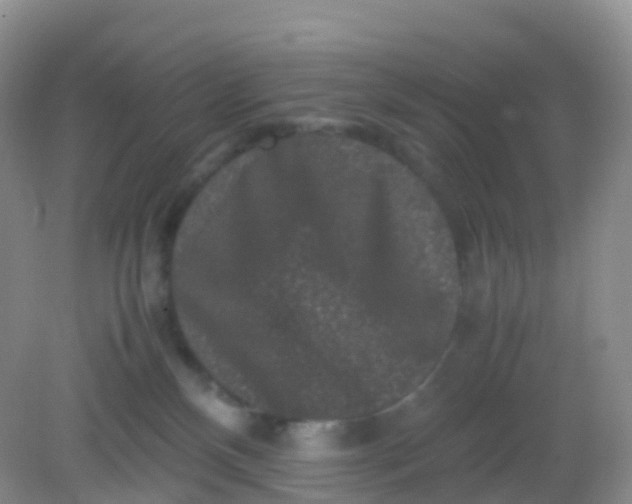 X0000081410136200701261833