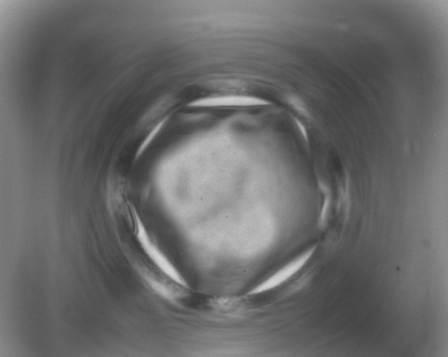 X0000081410141200701261833