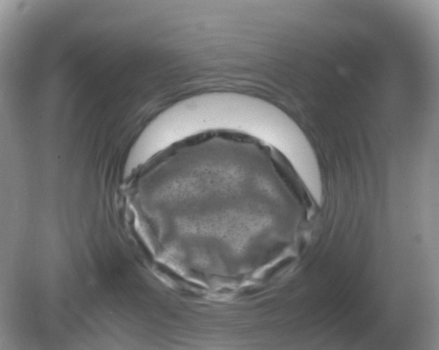 X0000081410143200701261833