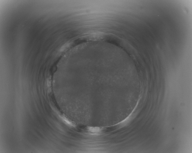 X0000081410144200701261833