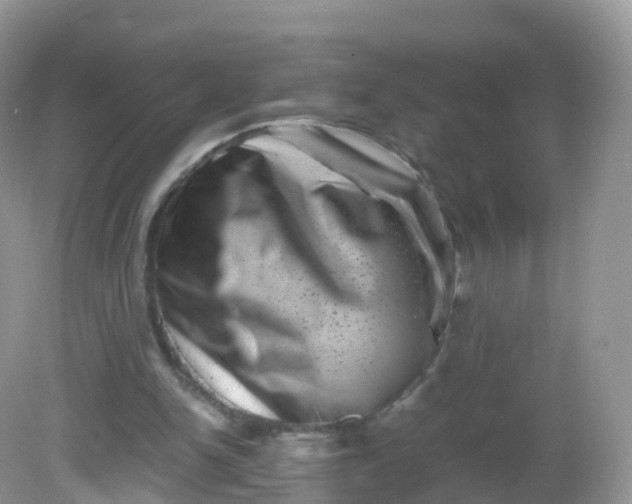 X0000081410150200701261833