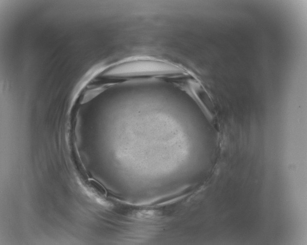 X0000081410152200701261833