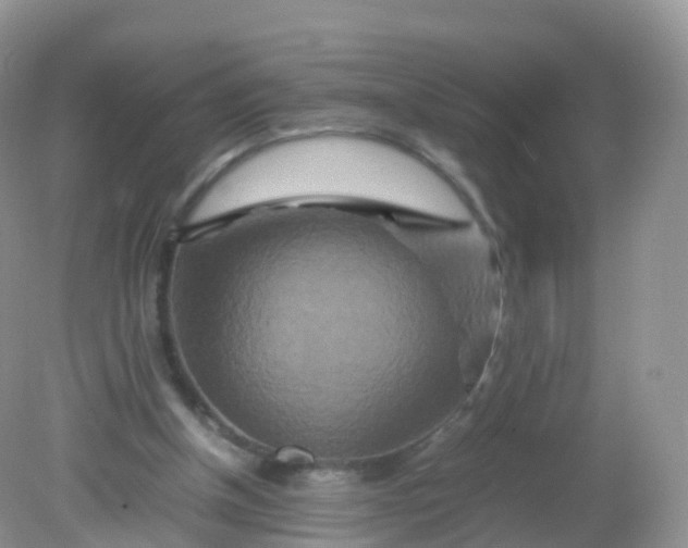 X0000081410154200701261833