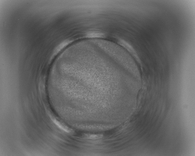 X0000081410155200701261833